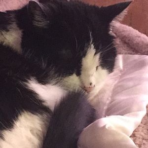 Meet your Posher, Christy